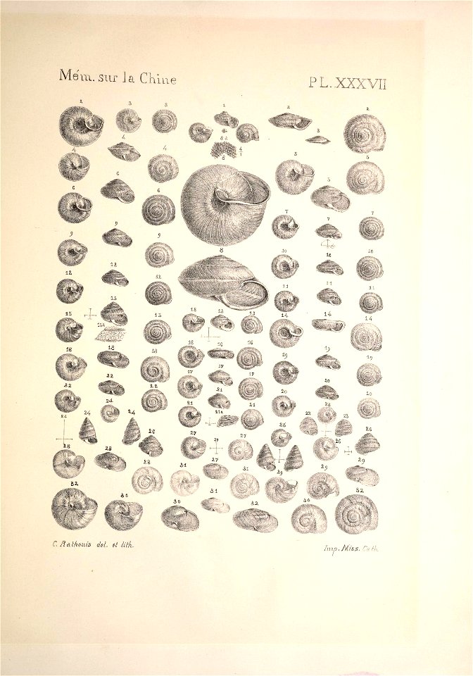 n262_w1150