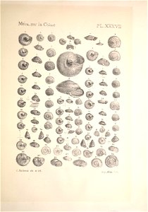 n262_w1150