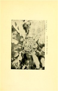 n542_w1150
