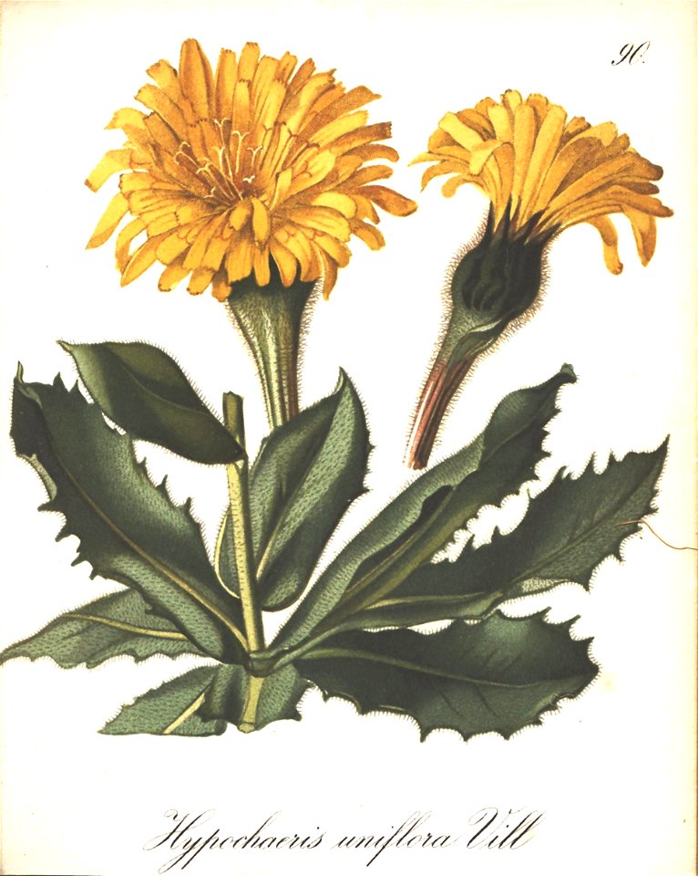 n156_w1150