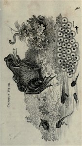 n40_w1150