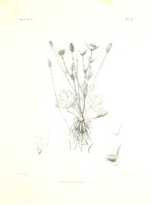 n36_w1150