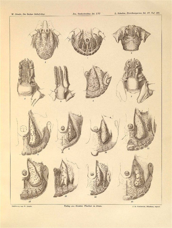 n116_w1150