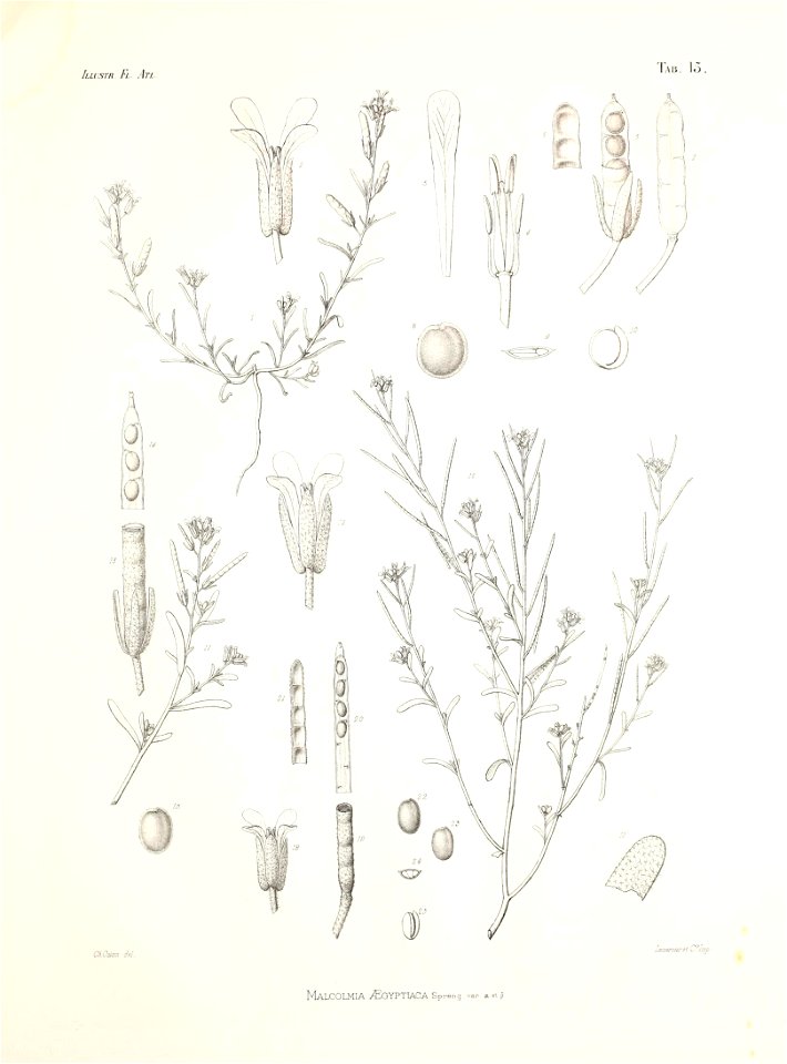 n62_w1150