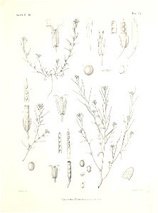 n62_w1150