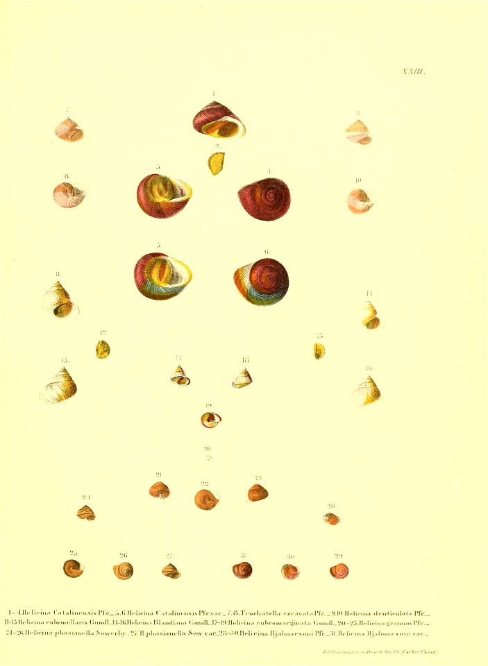 n192_w1150