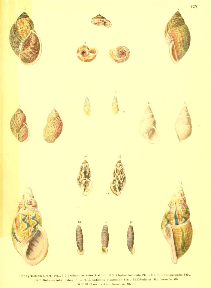 n162_w1150