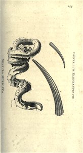 n296_w1150