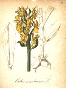 n159_w1150
