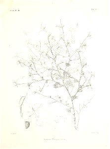 n38_w1150