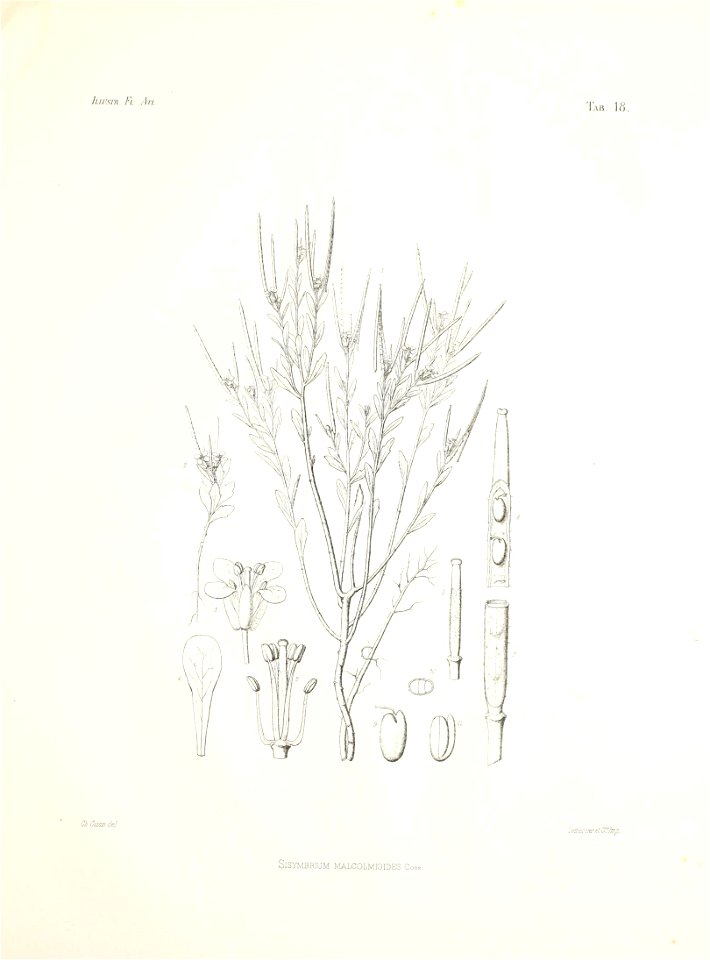 n68_w1150