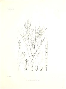n68_w1150