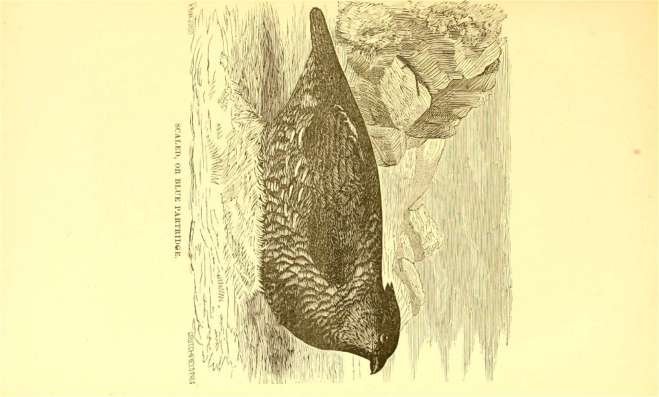 n42_w1150