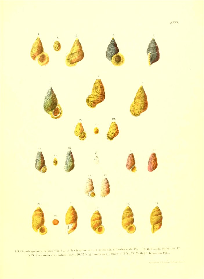 n198_w1150