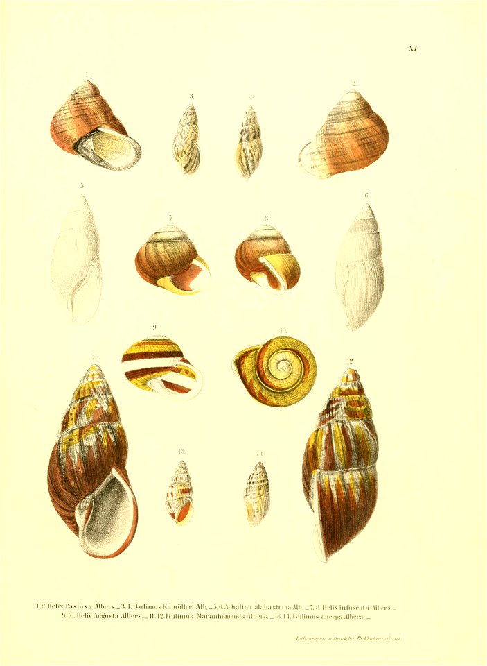 n168_w1150