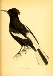 n302_w1150