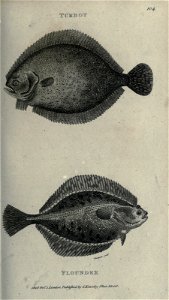 n110_w1150