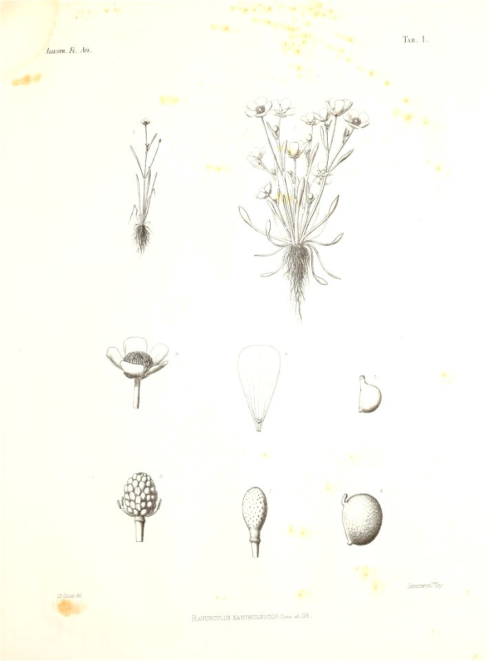 n34_w1150