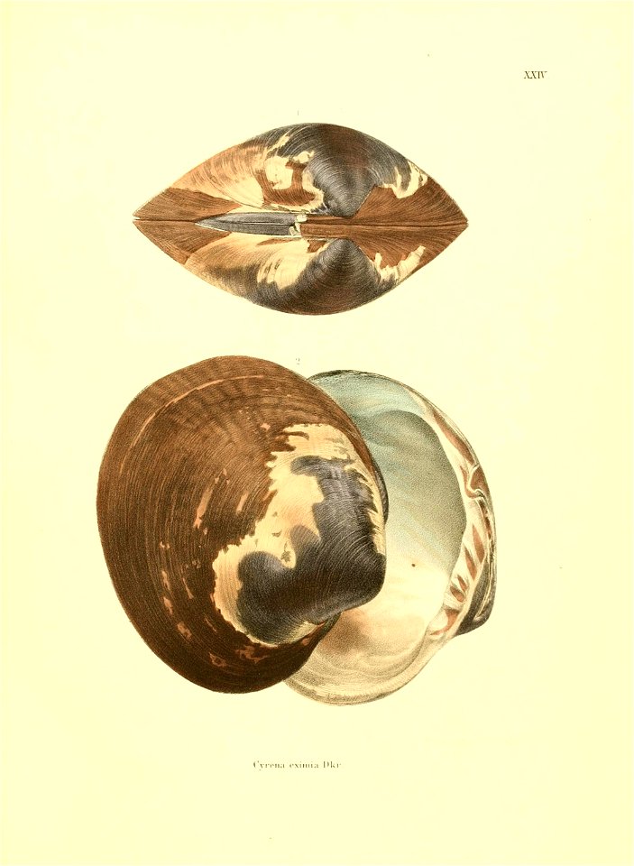 n194_w1150