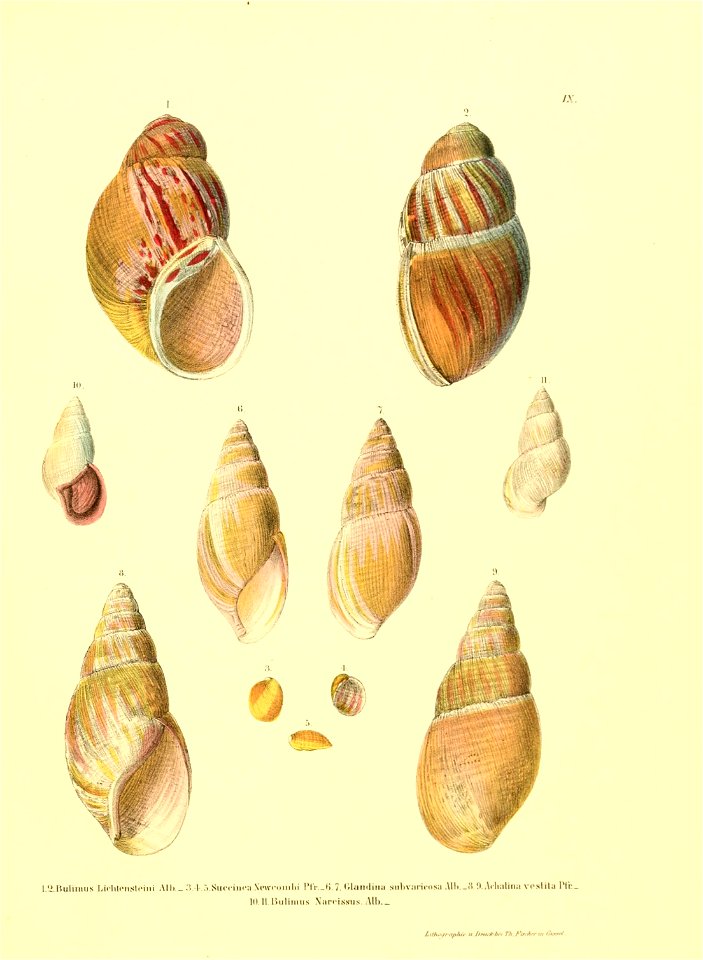 n164_w1150