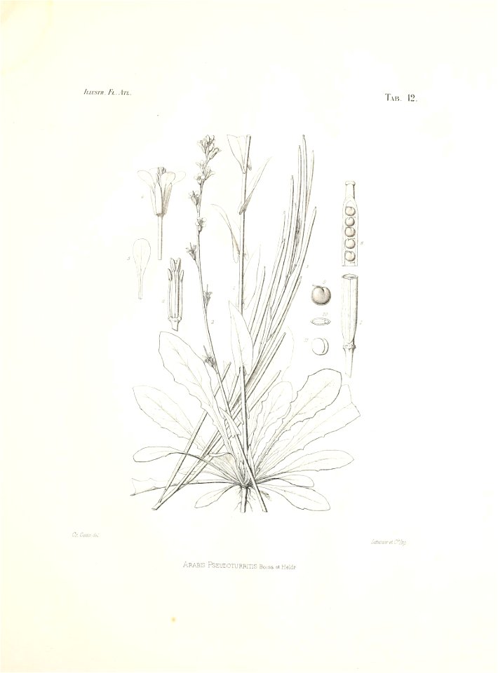 n56_w1150