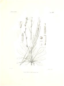n56_w1150