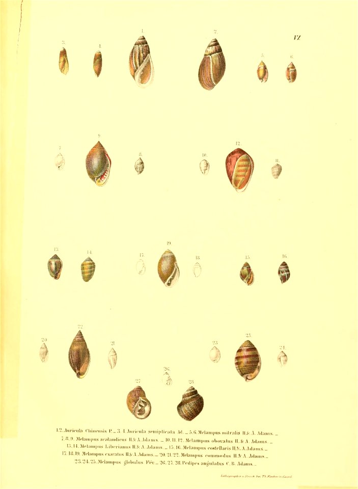 n158_w1150