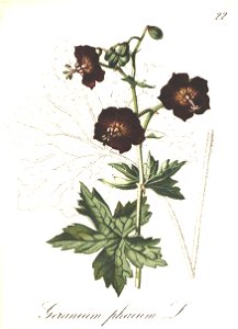 n88_w1150