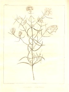 n105_w1150