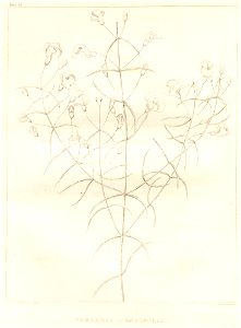 n51_w1150