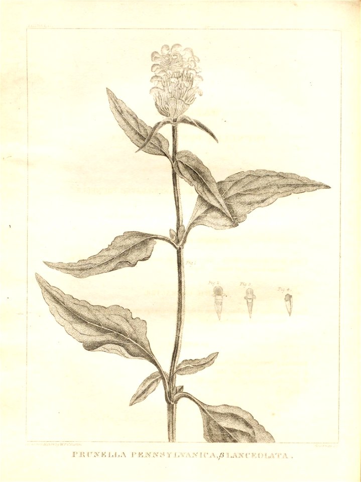 n103_w1150