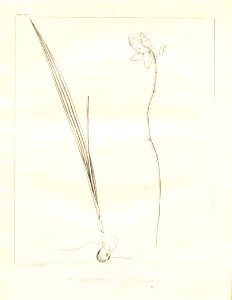 n138_w1150