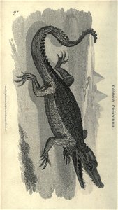n49_w1150
