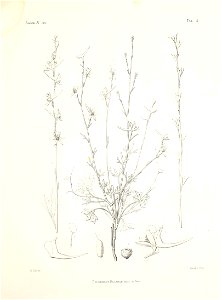n40_w1150