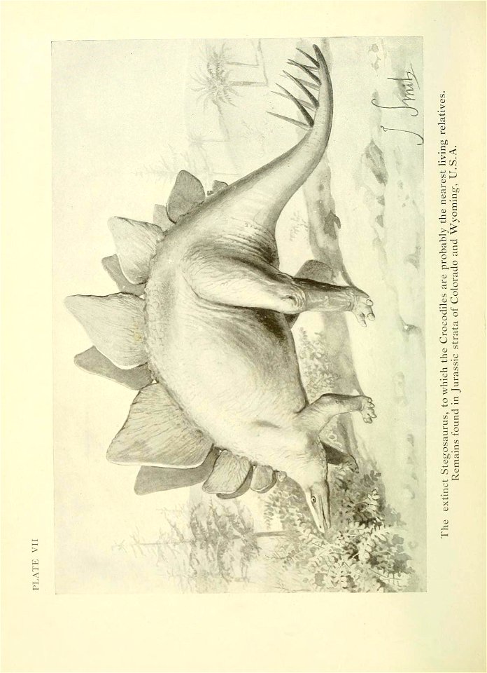 n165_w1150