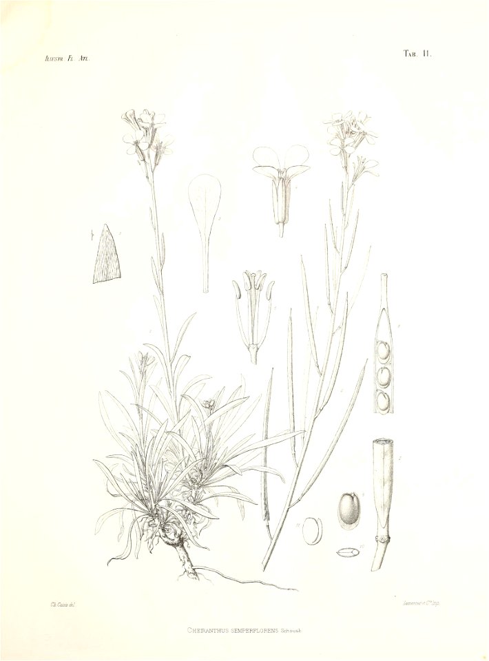 n54_w1150