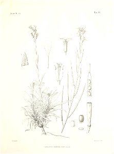 n54_w1150