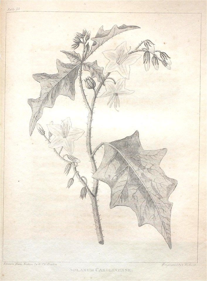 n133_w1150