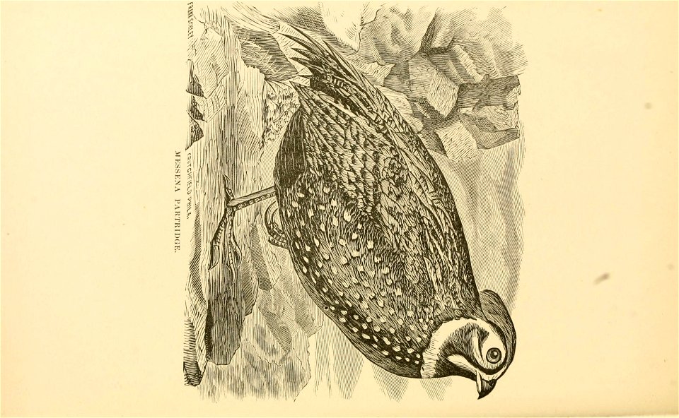 n49_w1150