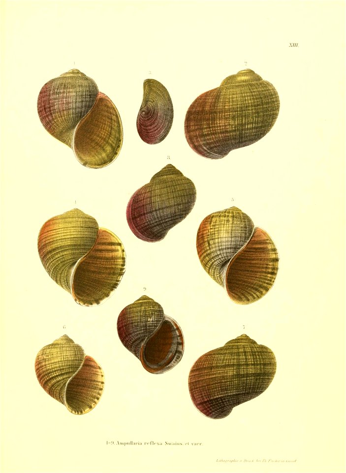 n172_w1150