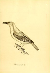 n54_w1150