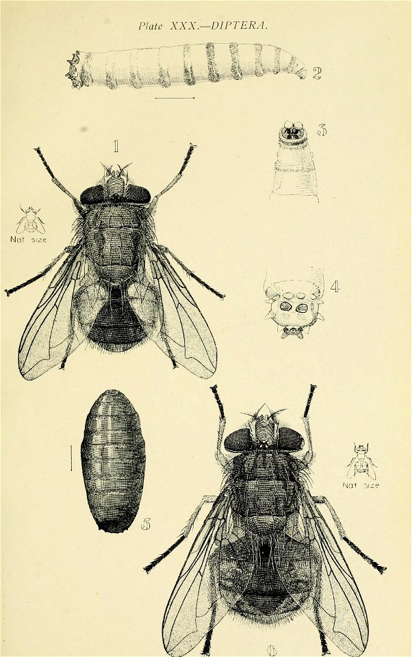 n454_w1150