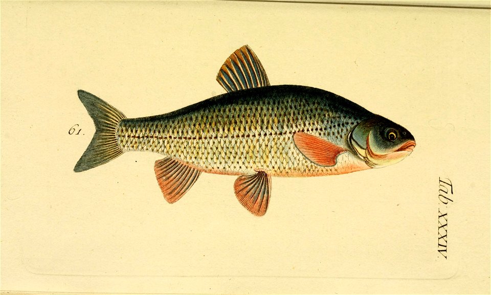n380_w1150