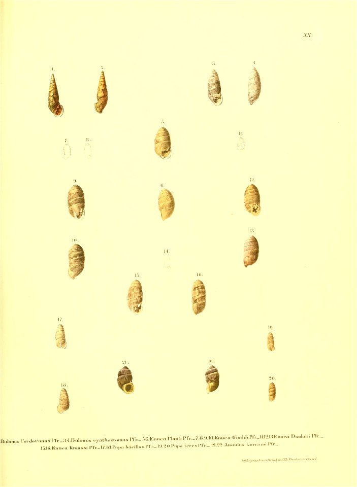 n186_w1150