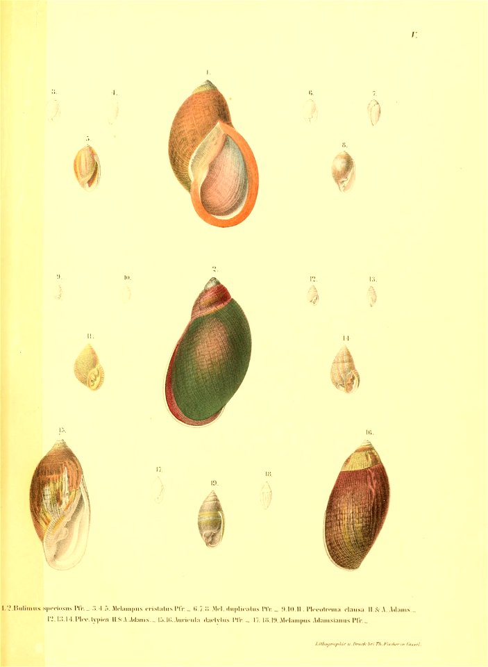 n156_w1150