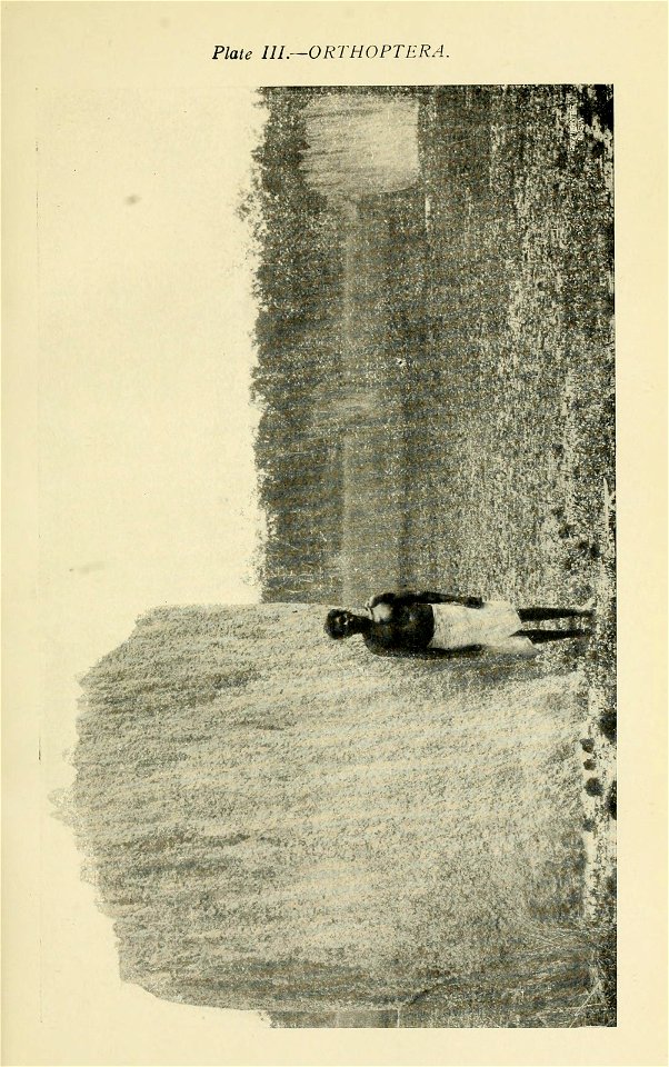 n54_w1150