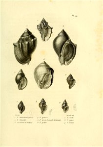 n296_w1150