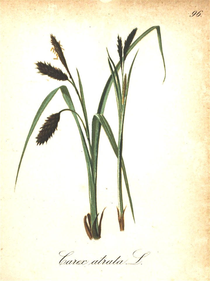 n168_w1150