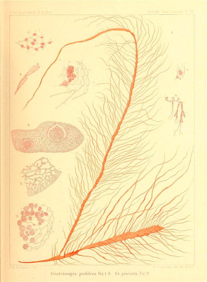 n218_w1150