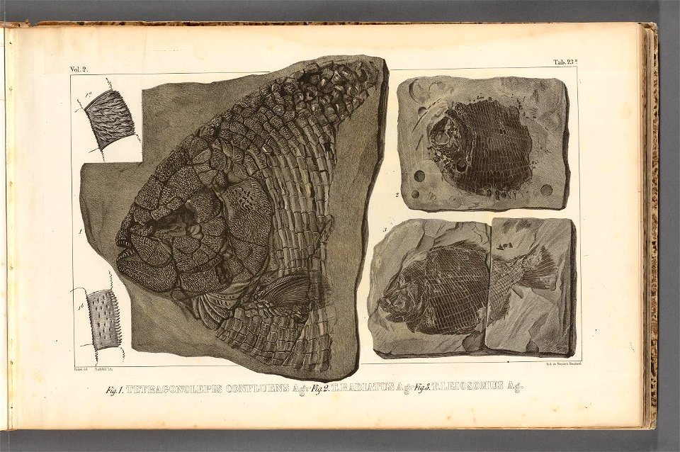 n58_w1150